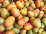 Tiêu dùng - Loại quả xưa rụng đầy không ai biết đến, giờ thành đặc sản có hương vị lạ được nhiều người ưa chuộng, 75.000 đồng/kg
