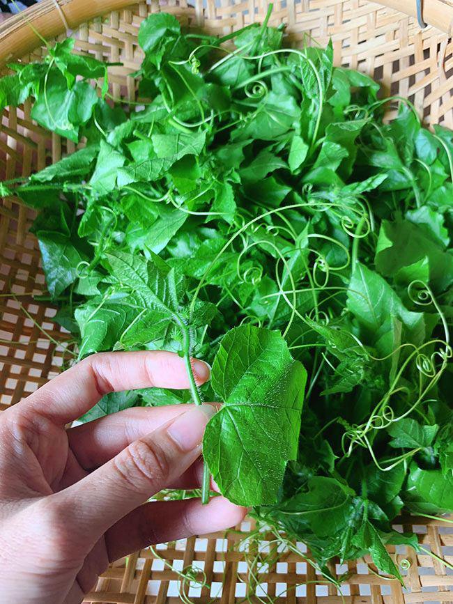 Cây dại mọc bờ bụi sủi bọt như xà phòng nhưng ăn rất ngon ...