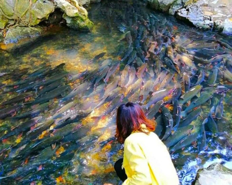 Ngoài Sầm Sơn thì Thanh Hóa có gì? Đây là 6 địa điểm thu hút hàng triệu du khách mỗi năm - 3