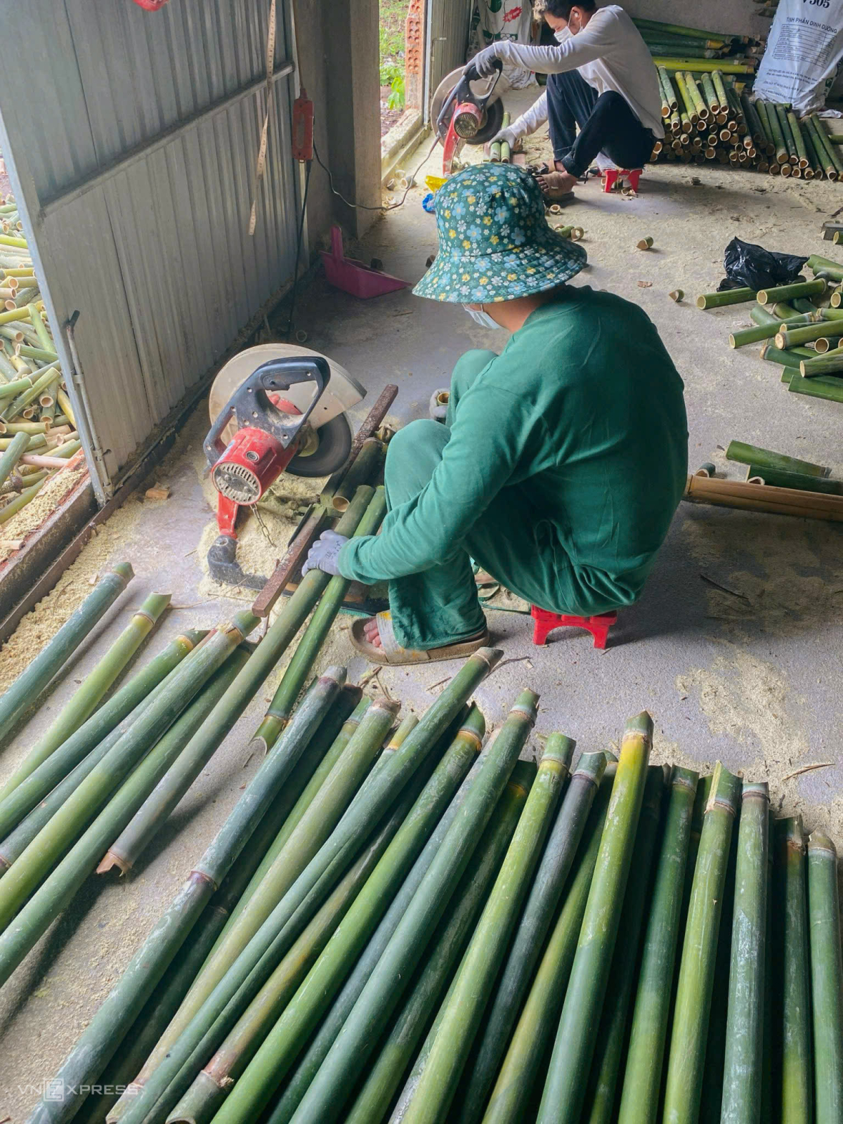 Nguồn nguyên liệu ống tre được nhập ở Tây Nguyên, tỉnh Thanh Hoá và sơ chế tại nguồn. Quán chọn giống nứa vì có thân to, ruột rỗng vừa đủ thay thế ly nhựa. Nông dân sẽ chặt tre thành các đốt dài khoảng 16 cm, rộng 5 cm và vạt nhẵn cành lá trước khi giao hàng. Ảnh: NVCC