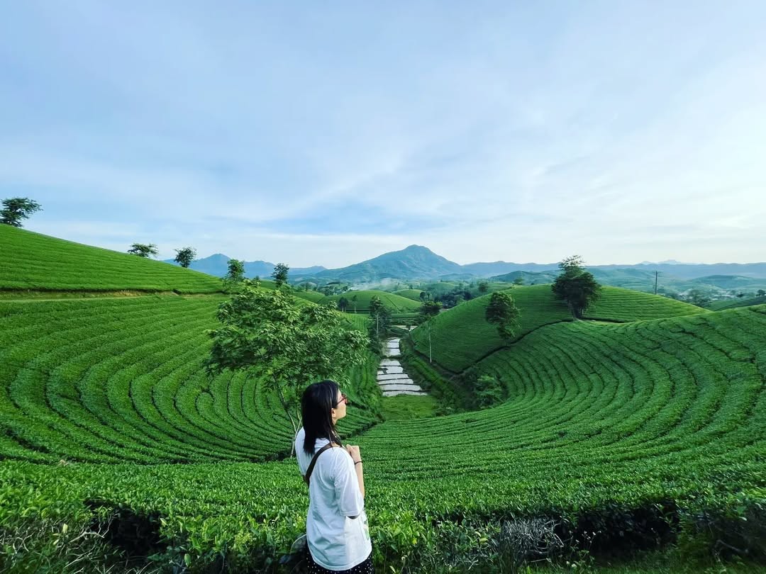 Nghỉ lễ Giỗ tổ Hùng Vương: Sáng mặc Việt phục đến đền Hùng, tối cắm trại dưới trời sao - 10