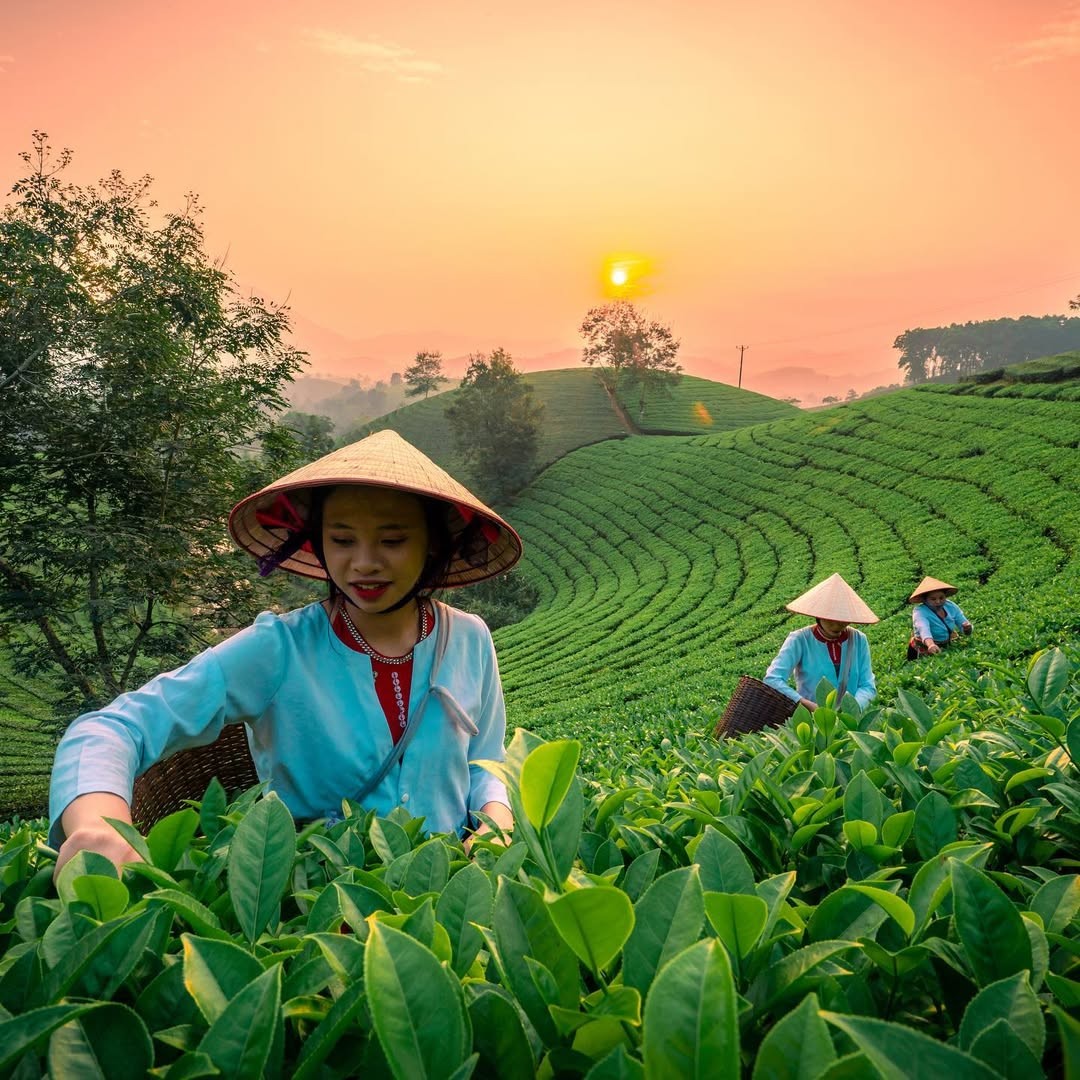 Khung cảnh này đã đủ để làm bạn xiêu lòng? Ảnh: @haionthego.