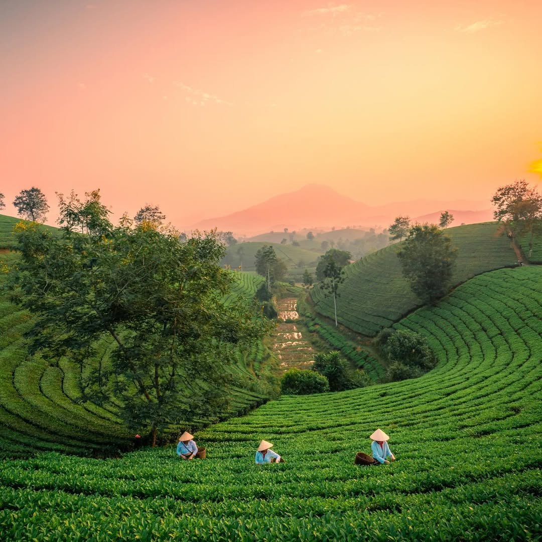 Nghỉ lễ Giỗ tổ Hùng Vương: Sáng mặc Việt phục đến đền Hùng, tối cắm trại dưới trời sao - 12