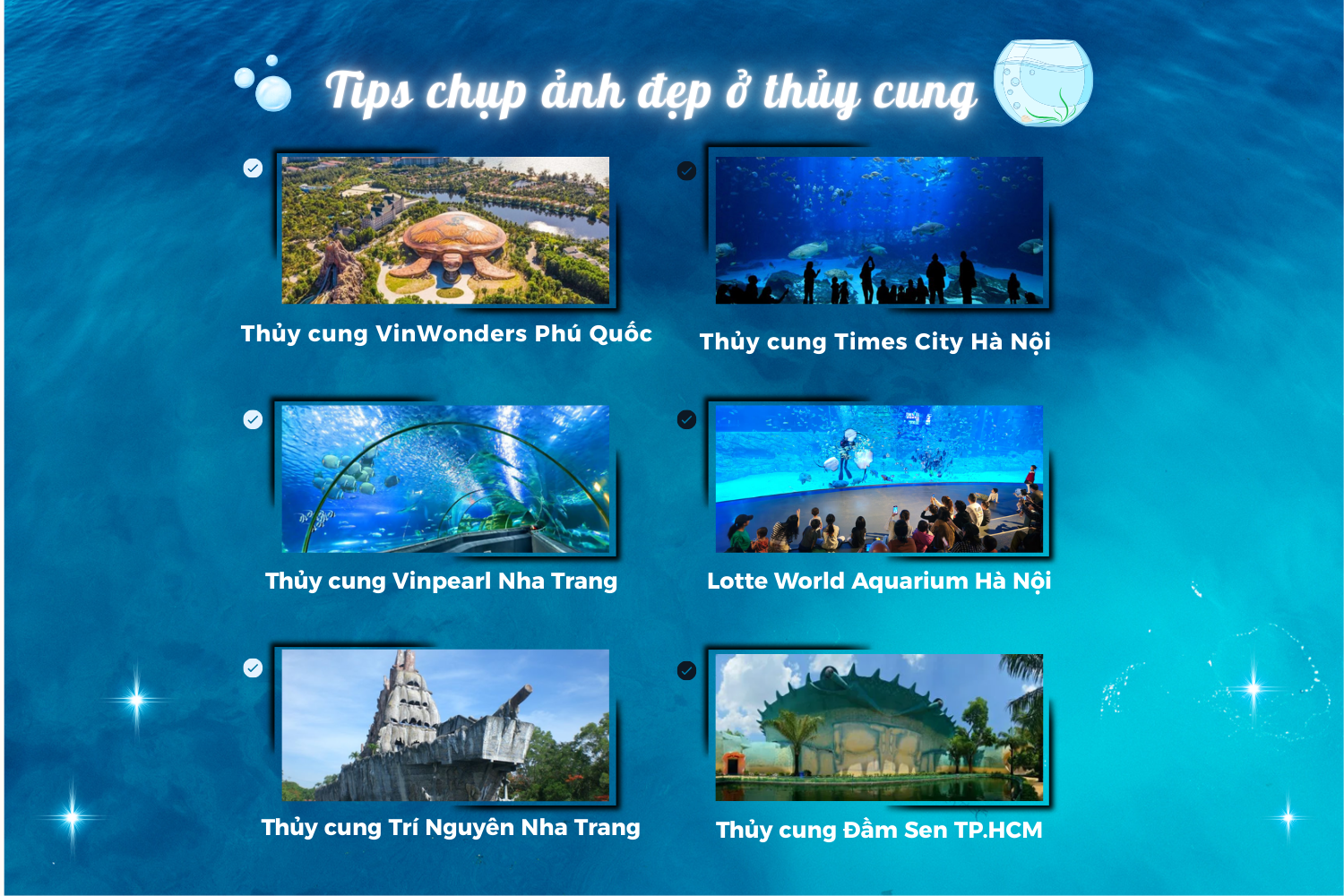 Gợi ý những thủy cung hot cho teen mê sống ảo. - Tổng hợp: Gia Ảnh