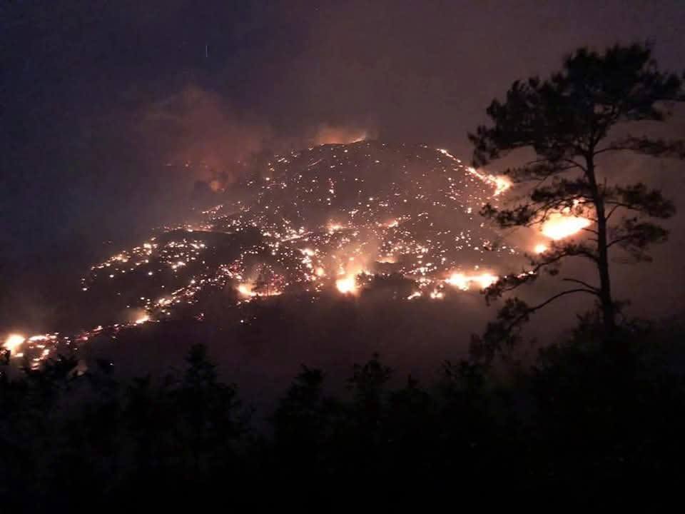 Xảy ra 2 đám cháy rừng trong đêm, Quảng Ninh huy động hàng trăm người dập lửa - 1