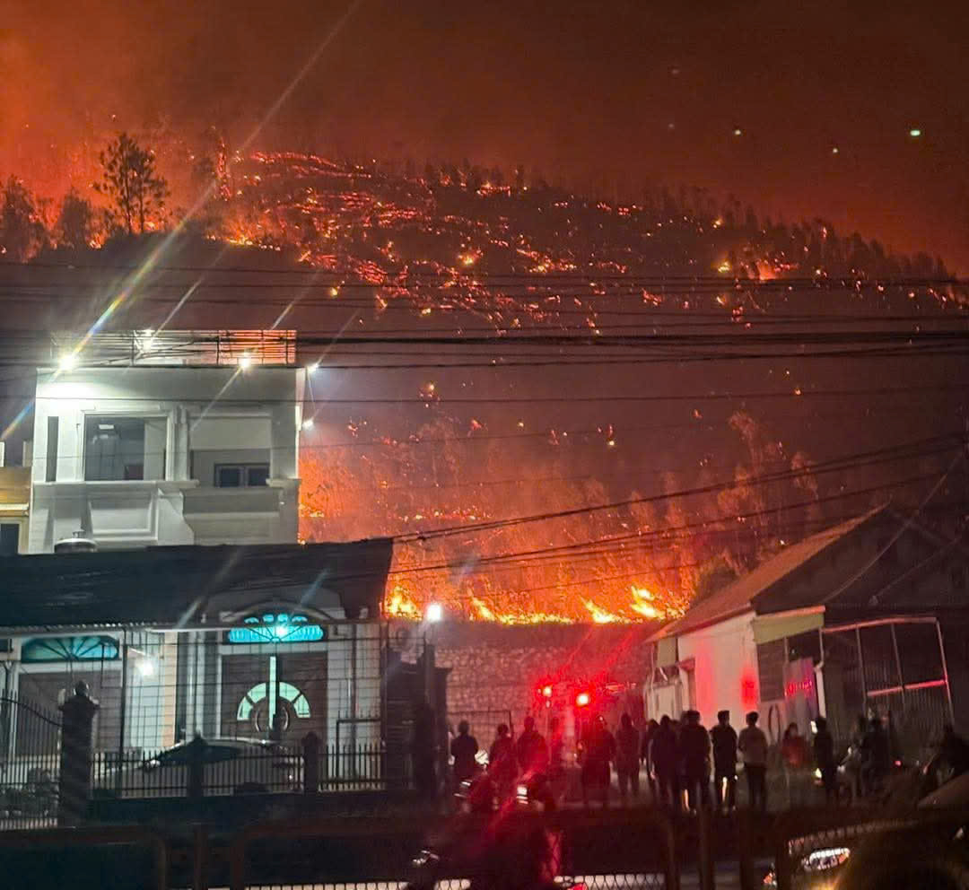 Cũng vào tối qua (12/4), tại phường Đại Yên (TP. Hạ Long) xảy ra vụ cháy rừng .