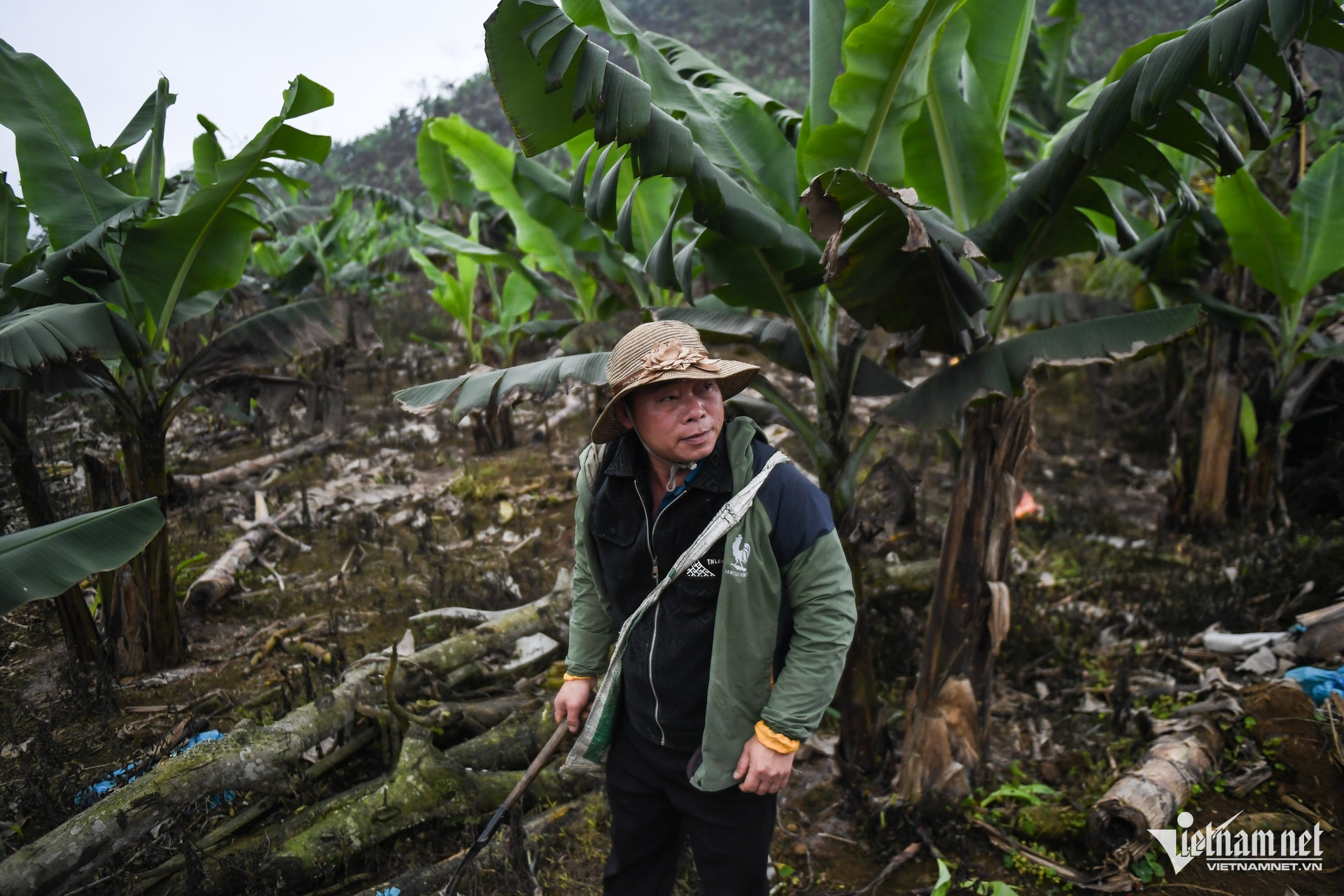 Ông Giàng Sử Hòa - nông dân ở Nậm Chảy (huyện Mường Khương, tỉnh Lào Cai)