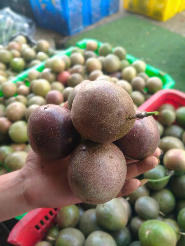 Giá chanh dây phụ thuộc vào nhiều yếu tố, từ cung cầu thị trường quốc tế đến tình hình sản xuất tại Việt Nam và các nước xuất khẩu lớn.