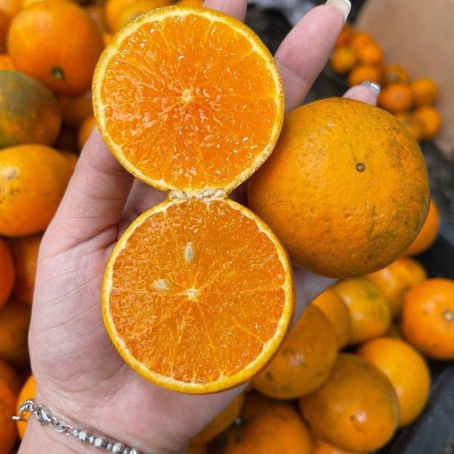 Vì vậy người tiêu dùng nên tìm địa chỉ uy tín để mua hàng, tránh ham đồ rẻ dẫn đến chất lượng không đảm bảo.