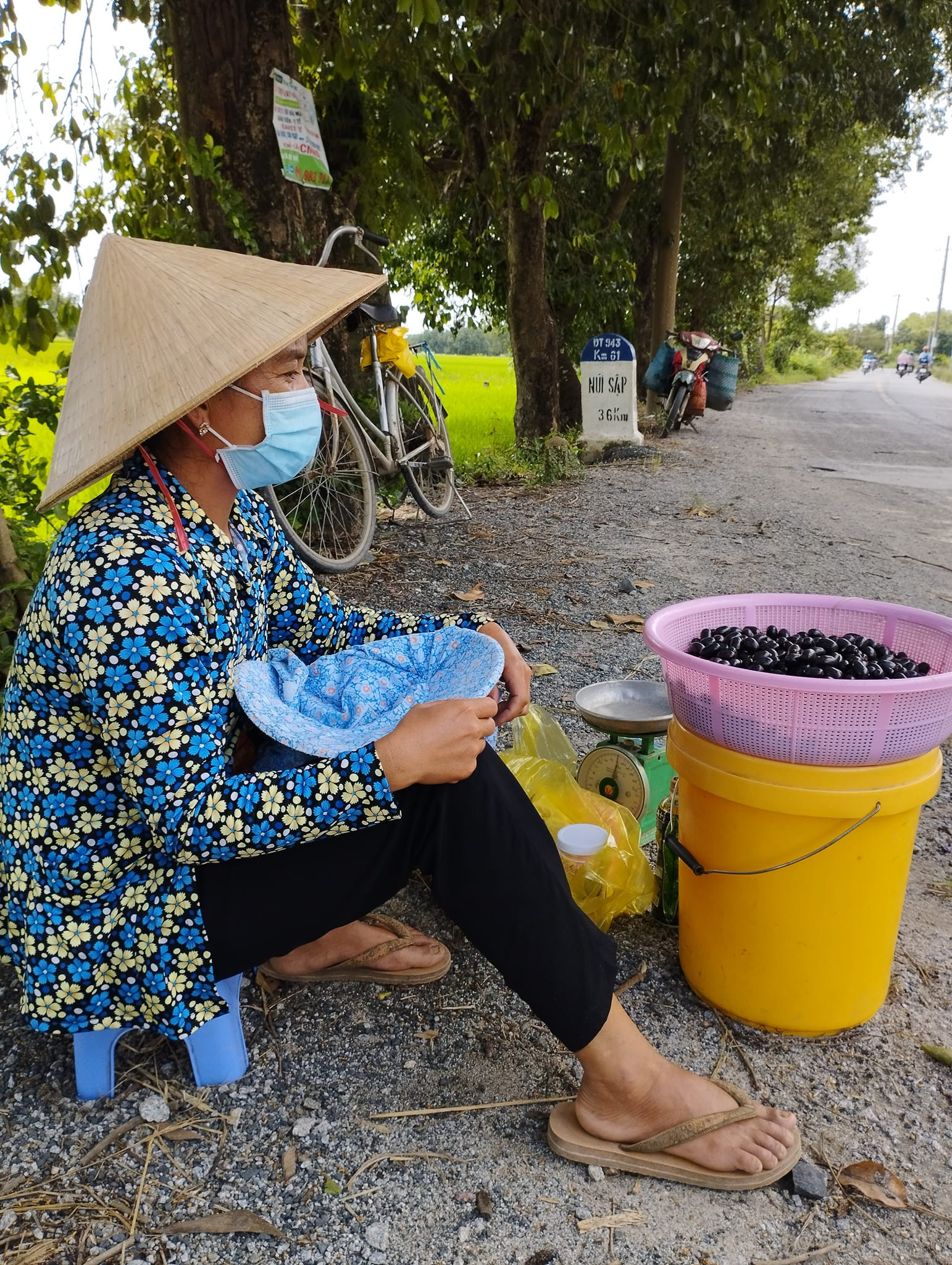 Quả đặc sản ở An Giang mọc chi chít, khách ăn đen răng vẫn lùng mua - 1