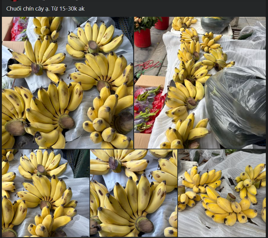 Chuối được bán trên thị trường với giá rẻ.