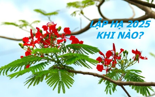 Lập Hạ 2025 và những đại kỵ không phải ai cũng biết để may mắn, tránh tán tài tán lộc - 1