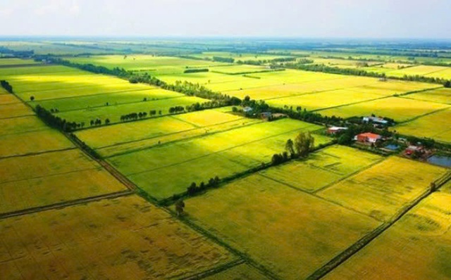Các mức xử phạt vi phạm hành chính trong lĩnh vực đất đai được quy định cụ thể theo Nghị định 123/2024/NĐ-CP. Ảnh minh họa: TL