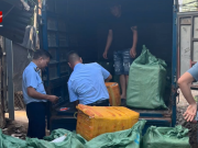 Clip Eva - Cận cảnh gần 800 kg trứng gà non, tràng gà “3 không” suýt lên bàn nhậu