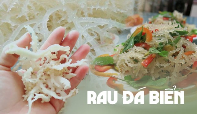 Rau câu chân vịt (hay được gọi là rau đá biển) khi ra được thành phẩm sẽ có màu trắng, có thể dùng làm thực phẩm có giá trị dinh dưỡng cao. Ảnh:MXH