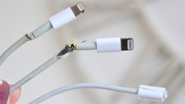 (Ảnh minh họa từ Internet)