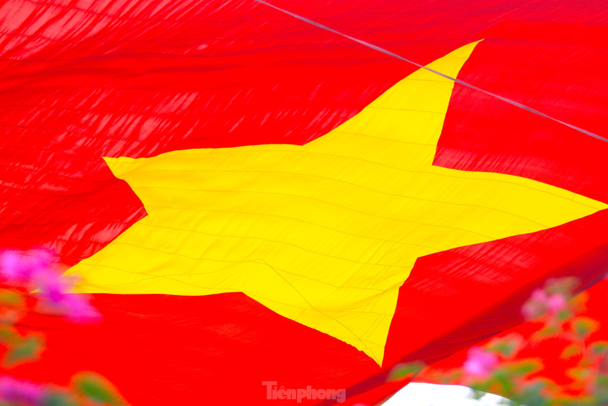 Đại kỳ Tổ quốc tung bay trên Quảng trường Hồ Chí Minh.