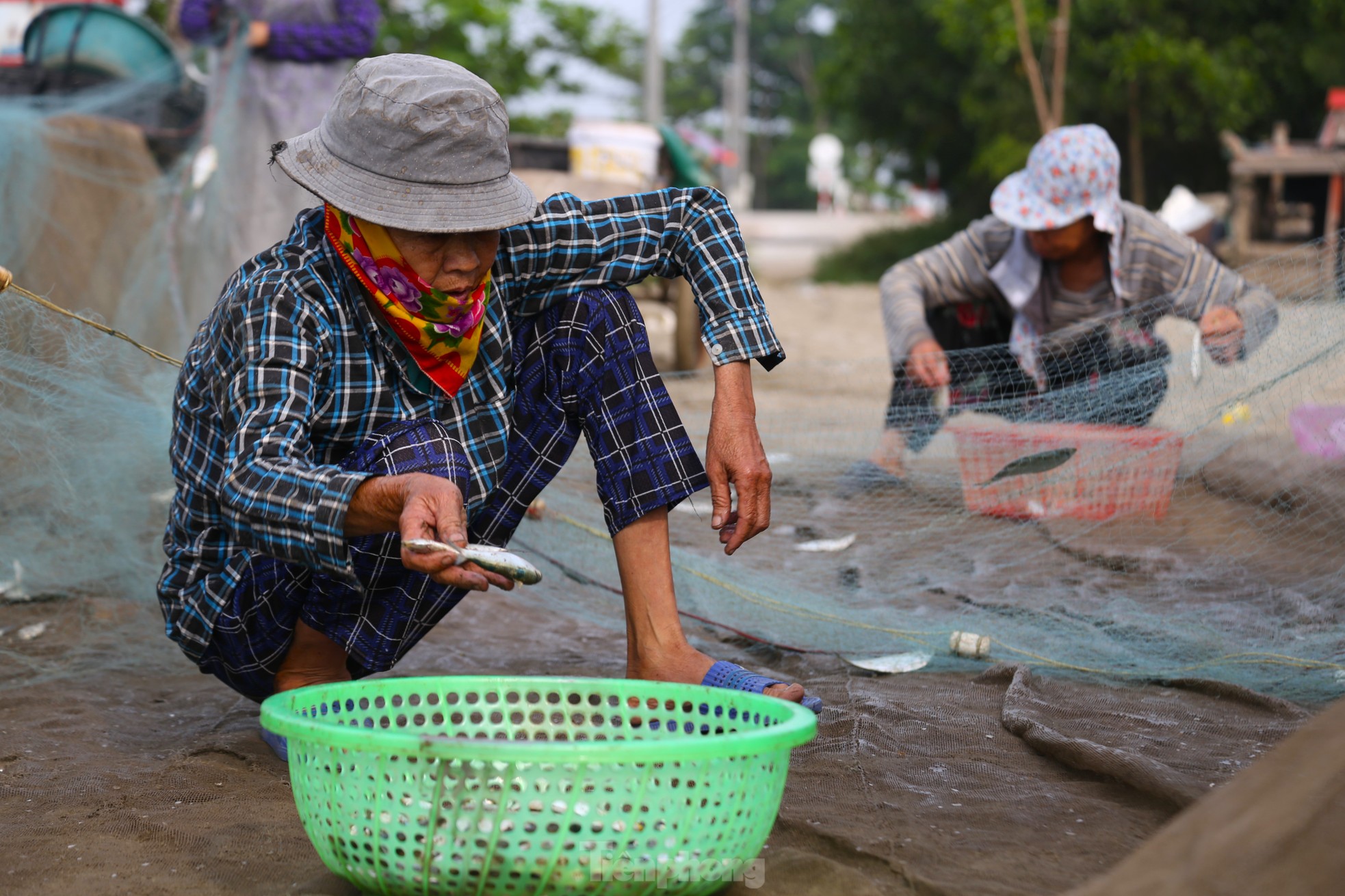Mỏi tay gỡ cá tươi mỗi sáng, ngư dân Nghệ An thu nhập tiền triệu - 6