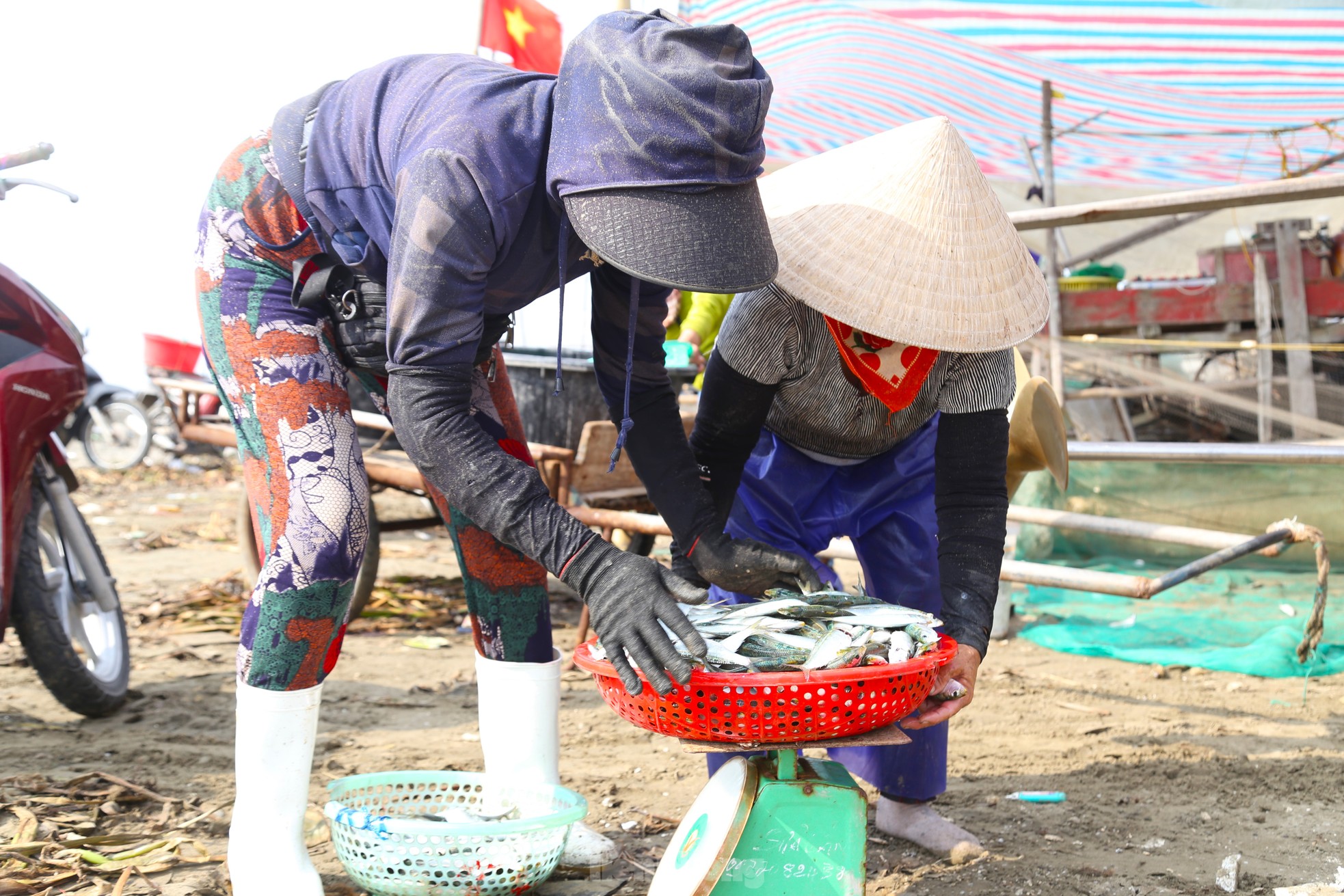 Mỏi tay gỡ cá tươi mỗi sáng, ngư dân Nghệ An thu nhập tiền triệu - 11