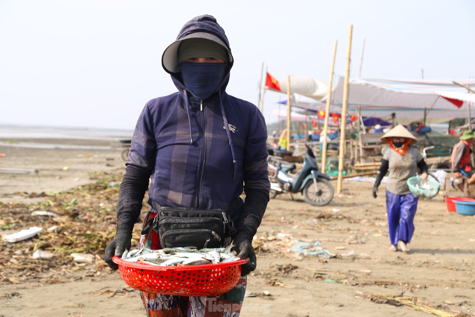 Mỏi tay gỡ cá tươi mỗi sáng, ngư dân Nghệ An thu nhập tiền triệu - 10