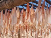 Đặc sản Phan Thiết lọt top những món ăn từ mực ngon nhất thế giới