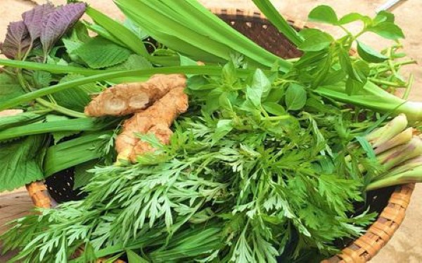 Sử dụng ngải cứu trong ngày Tết Đoan Ngọ để có nhiều năng lượng tích cực.