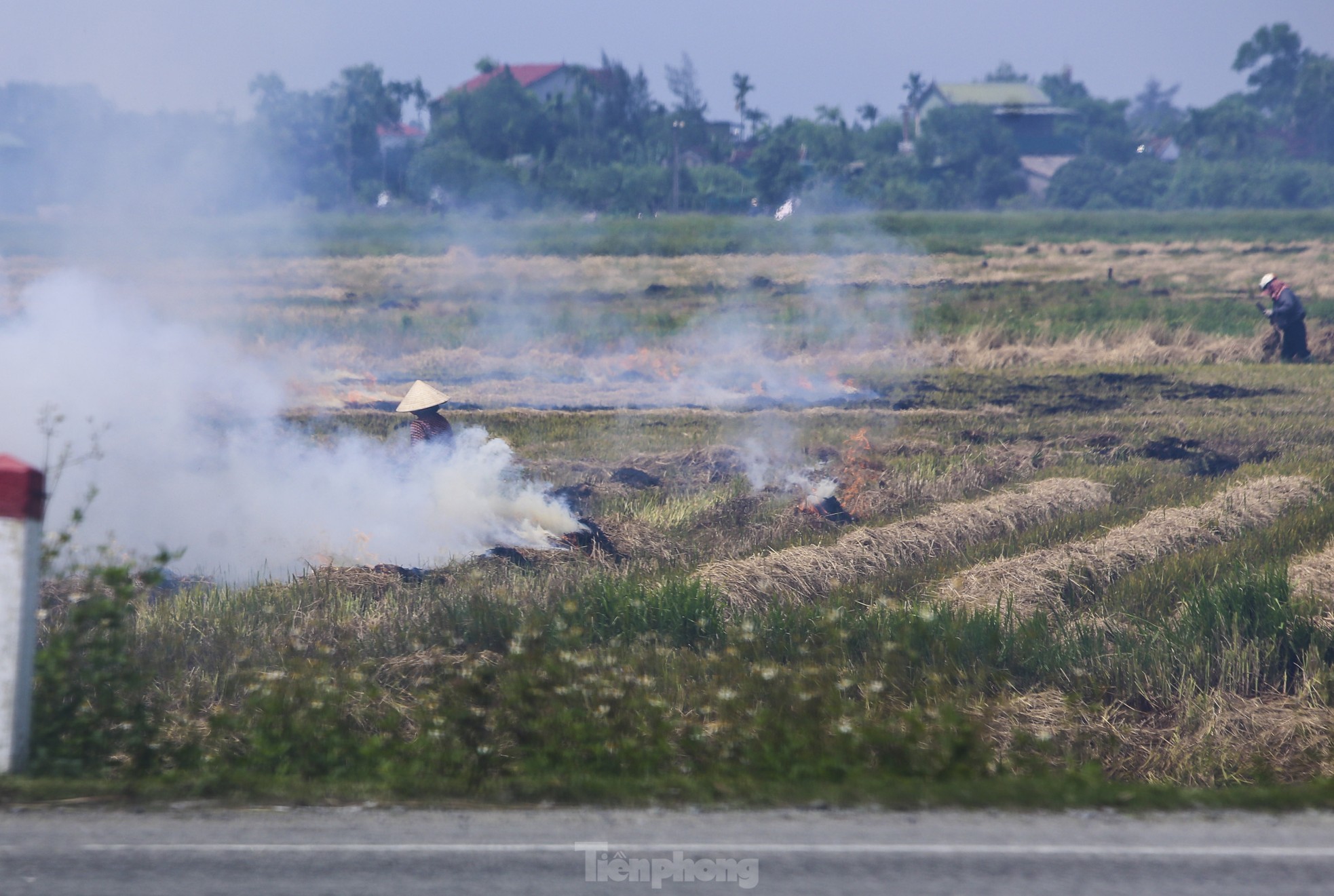 Tài xế amp;#34;cay mắtamp;#34; vì khói rơm mù mịt trên cao tốc, quốc lộ qua Hà Tĩnh - 5