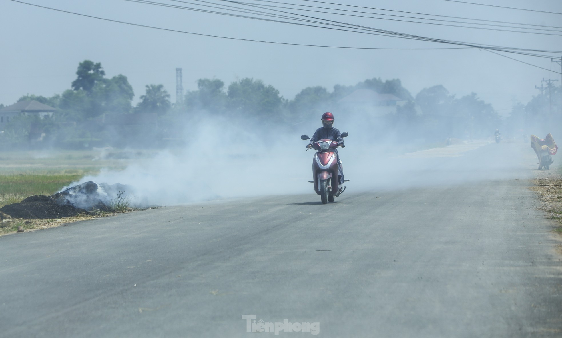 Theo ghi nhận, trên nhiều cánh đồng qua huyện Cẩm Xuyên, Kỳ Anh, Can Lộc, Thạch Hà chạy dọc quốc lộ 1 và cao tốc Bắc – Nam, người dân đốt rơm rạ khiến khói bay mù mịt. Trong ảnh là những cột khói rơm rạ cao hàng chục mét, theo gió cuốn bay ra các tuyến đường, vào khu dân cư.