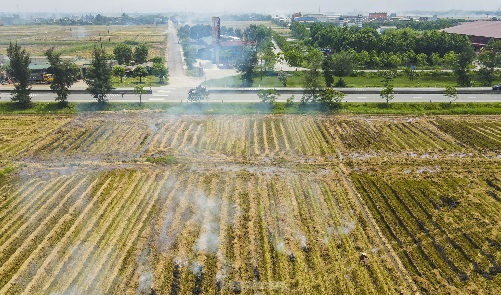 Tài xế amp;#34;cay mắtamp;#34; vì khói rơm mù mịt trên cao tốc, quốc lộ qua Hà Tĩnh - 15