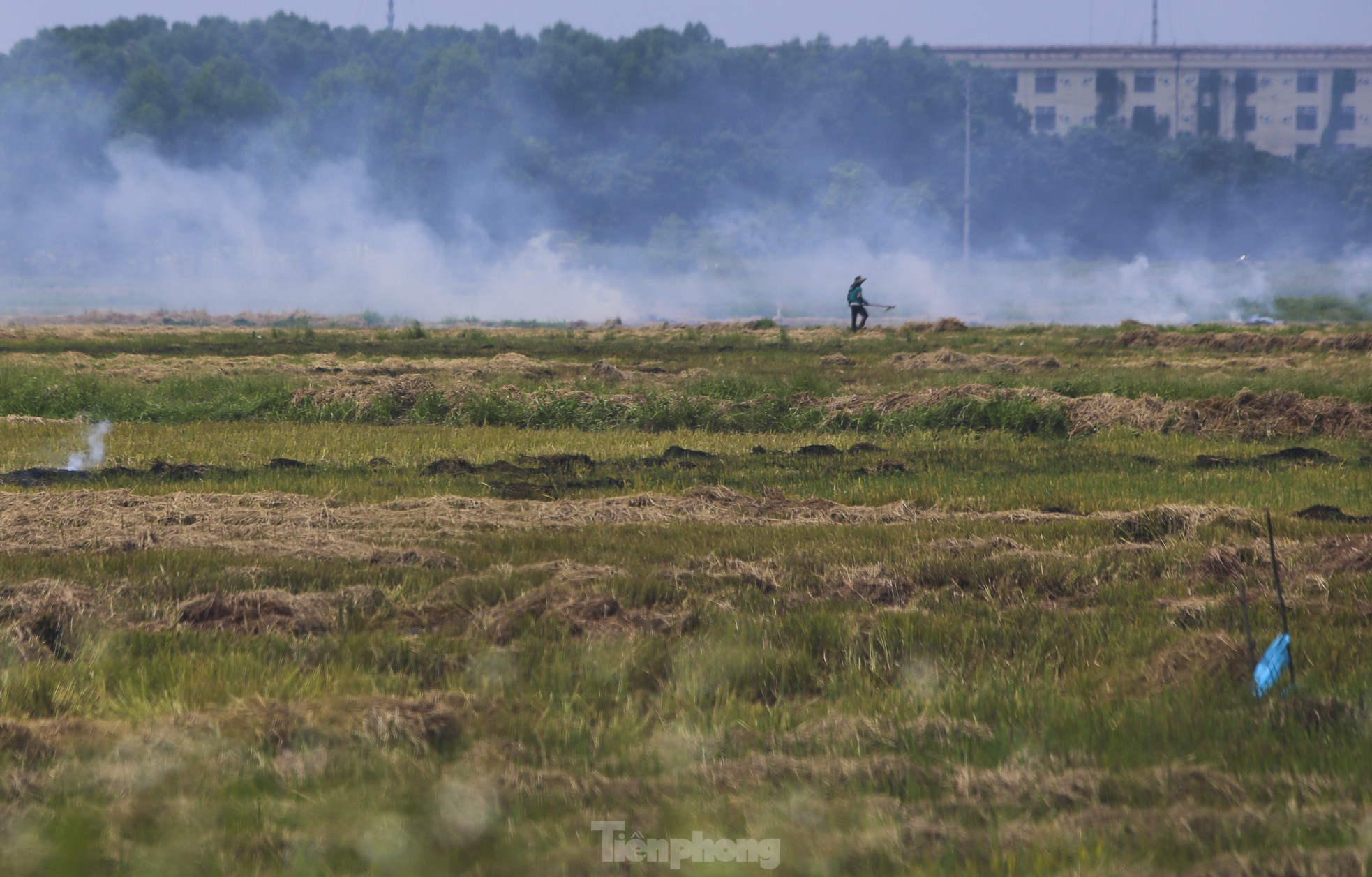 Nhiều năm nay, chính quyền địa phương thường khuyến cáo người dân hạn chế việc này. Nhưng chỉ một bộ phận người dân mang rơm rạ về nhà ủ phân, còn phần lớn chọn phương án đốt ngay tại ruộng.