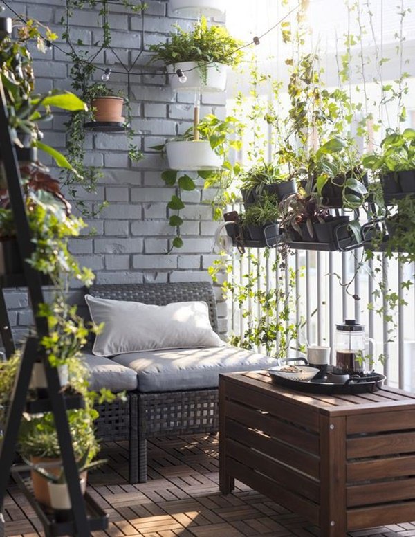 Chậu cây treo vừa giúp tiết kiệm diện tích, vừa tạo điểm nhất đẹp mắt cho không gian.
