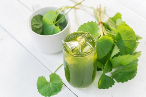 Rau má có thể giúp hạ men gan ở những người bị viêm gan, gan nhiễm mỡ.