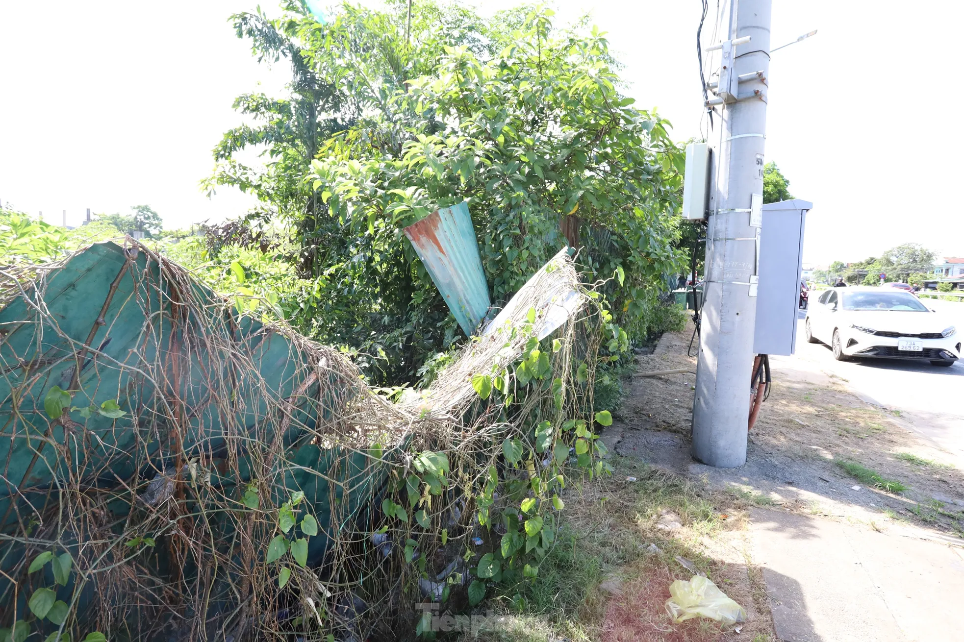 Sau 15 năm dự án khu thương mại giữa trung tâm Huế vẫn thành bãi hoang - 8