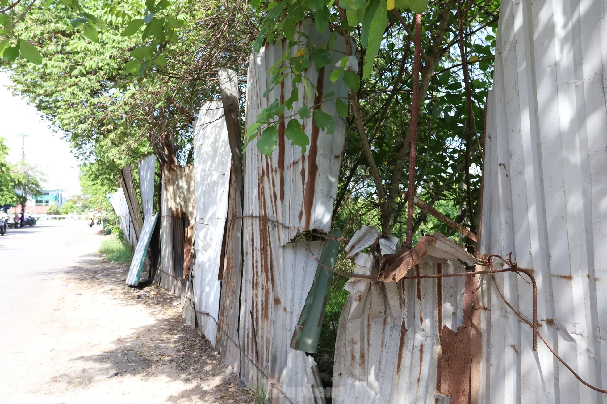 Sau 15 năm dự án khu thương mại giữa trung tâm Huế vẫn thành bãi hoang - 7