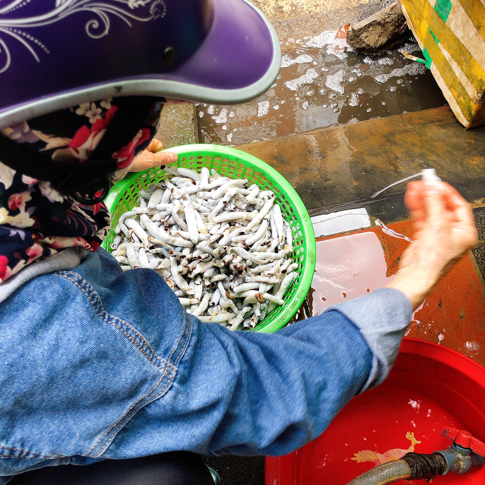 Bông thùa được sơ chế tỉ mỉ để loại bỏ bùn cát bên trong. Ảnh: Đinh Huy Hoàng