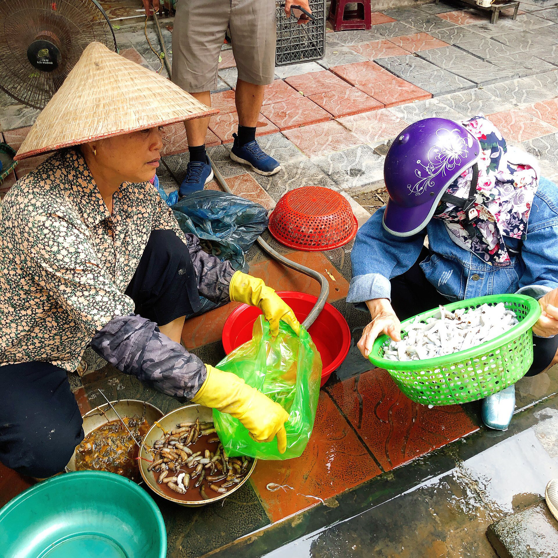 Đặc sản amp;#39;dưới bùnamp;#39; ở Quảng Ninh nhìn kỳ dị, xào su hào ăn ngọt, ngon - 4