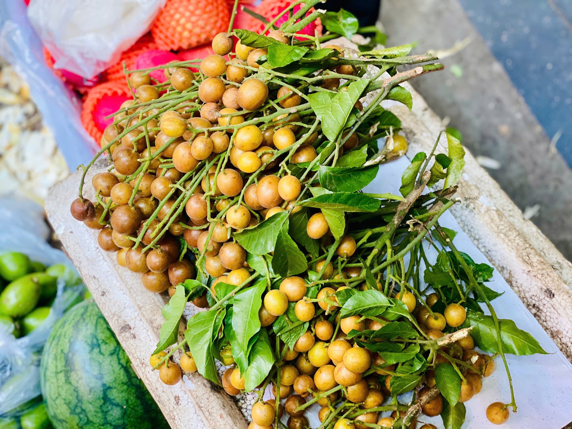 Những quả quất hồng bì chín mọng, thơm ngon.