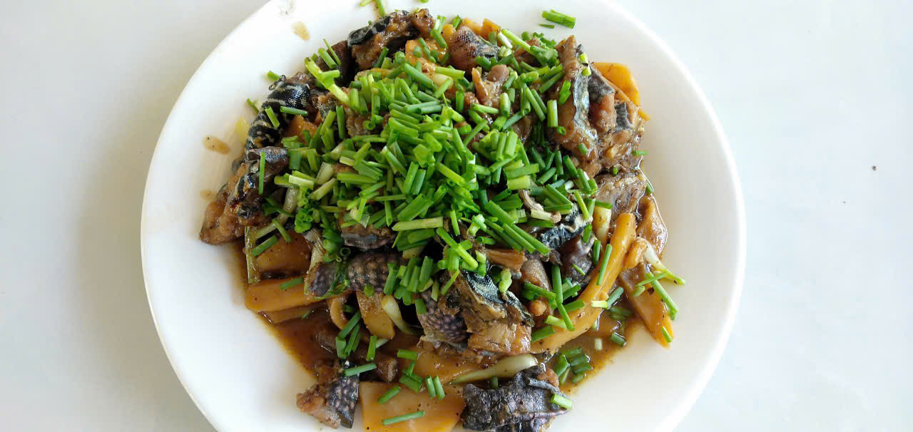 Đặc sản 4 chân đuôi dài thượt ở Bình Thuận, thịt săn chắc, ngọt thơm hơn thịt gà - 6