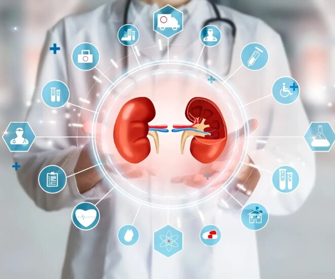 Thận suy yếu có thể gây nên nhiều vấn đề sức khỏe. (Ảnh minh họa).