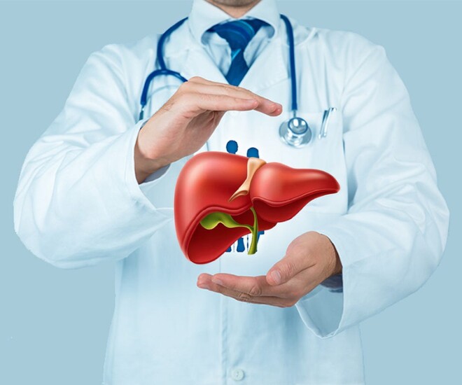 Gan có khả năng tự phục hồi nhưng không phải là vô tận. (Ảnh minh hoạ).