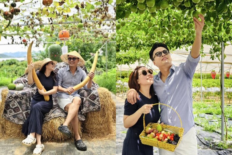 Sao Việt 24h: Hoa hậu Hà Kiều Anh thông báo tang sự của mẹ chồng, hàng loạt nghệ sĩ gửi lời chia buồn - 9