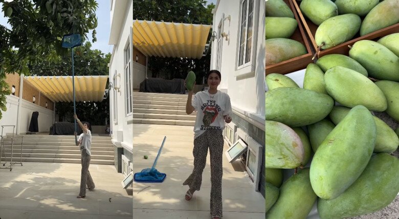 Sao Việt 24h: Con trai Hồ Ngọc Hà có năng khiếu vượt trội, chững chạc khi amp;#34;đối đầuamp;#34; bố Kim Lý, khác vẻ nhí nhố thường thấy - 7