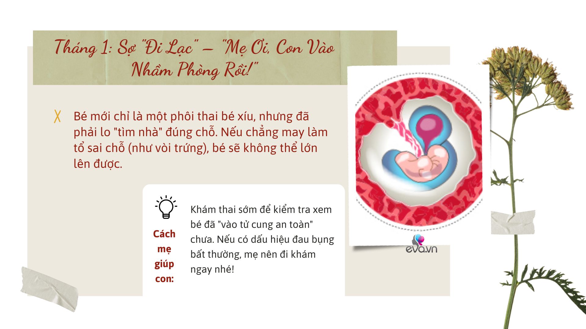 Hành trình hơn 9 tháng mang thai: Em bé trong bụng sợ gì và cách mẹ amp;#34;xử đẹpamp;#34; từng vấn đề - 1