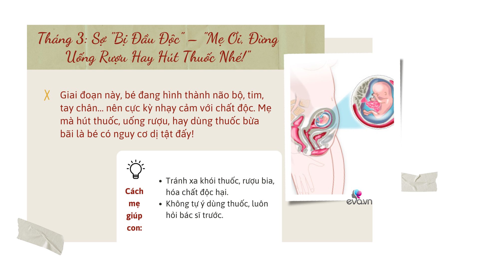 Hành trình hơn 9 tháng mang thai: Em bé trong bụng sợ gì và cách mẹ amp;#34;xử đẹpamp;#34; từng vấn đề - 3