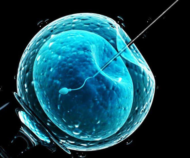 Em bé đầu tiên chào đời nhờ IVF tự động điều khiển từ xa - 1