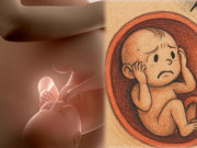 Bà bầu - Hành trình hơn 9 tháng mang thai: Em bé trong bụng sợ gì và cách mẹ "xử đẹp" từng vấn đề