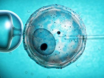 Em bé đầu tiên chào đời nhờ IVF tự động điều khiển từ xa