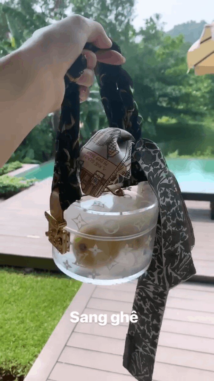Chiếc hộp Louis Vuitton đựng hoa quả từng gây sốt một thời của Đỗ Mỹ Linh