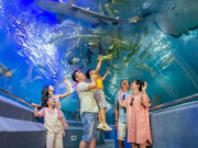 Bảo tàng Hải Dương Học Nha Trang - Đại dương thu nhỏ tuyệt đẹp giữa lòng thành phố