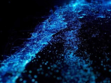 Biển Hạ Long phát sáng kỳ ảo trong đêm, netizen rần rần săn lùng hiện tượng “phim viễn tưởng” ngoài đời thực